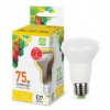  / LED-R63-standard 8 160-260 27 3000 720 ASD