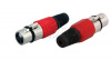   CANON    XLR       REXANT (.20) 