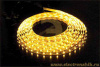 ����� ECO- 3528/ 60  IP65-12V-Y(������ ����) (5�) Jazzway