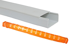 ������-����� 100�40 ����� TDM (12 �)