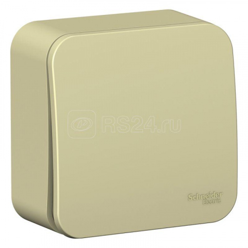 ����������� 1-�� Blanca ������� �/� � ����������� ���������  (c�.1) 10�, 250B | BLNVA101017 | SE