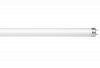  / 10 LED-T8R-std 10 230  G13 6500 800 600  ASD   -
